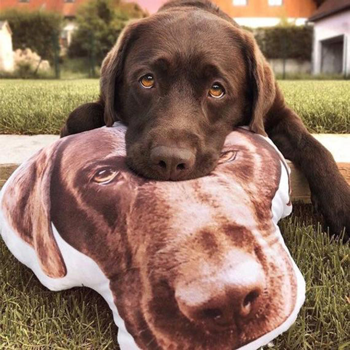 Photo Shaped Pet Pillows