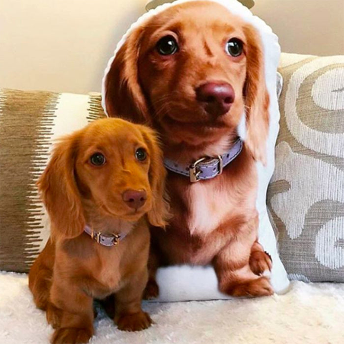 Photo Shaped Pet Pillows