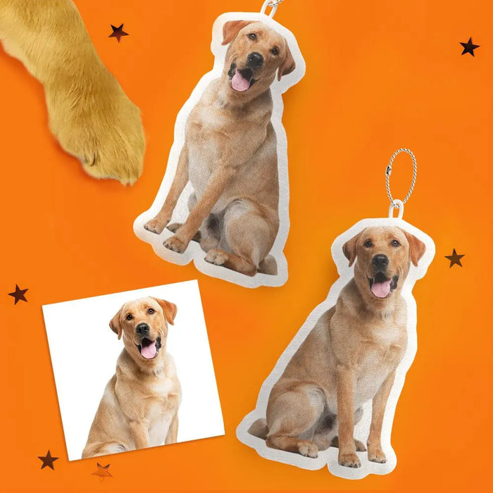 Custom Pet Pillow Personalized Picture Pillow Cat and Dog Shaped Pillow Unique Gift for Pet Lovers Decorative Pillow Home Decor
