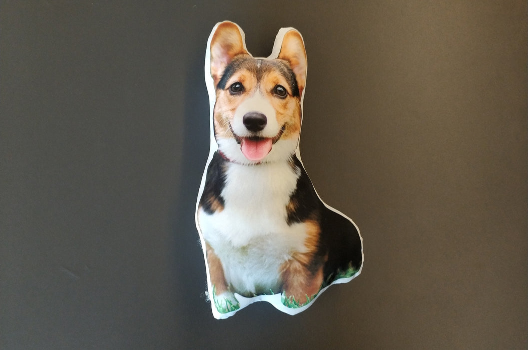 Photo Shaped Pet Pillows
